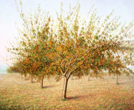 73x60 Manzanos