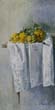 41x81 Amarillos sobre blanco